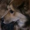 nash_and_marley - @nash_and_marley - TikTok