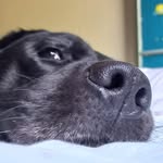 Marley Ortega - @marley.ortega01 - Instagram