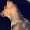 Marley Poole - @prettygurl2022 - TikTok