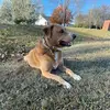 Marley Sharp - @marley_sharp7 - TikTok
