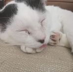 Marley Isabella Simpson - Facebook