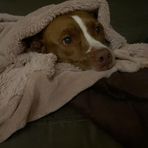 Marley Simpson - Facebook