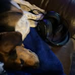 Marley Smith - Facebook