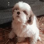 Marley Smith - @marley.smith_ - Instagram