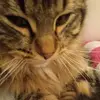 Marley Smith - @marley.smith74 - TikTok