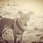 marley smith - @marleysmith01 - Instagram