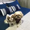 Marley e Stark - @marley_e_stark - TikTok