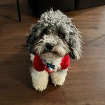 Marley Stark Quiñones - @marley_stark0420 - Instagram