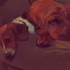 marley.stark - @marley.stark_ - TikTok