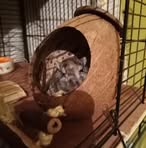 Marley Stuart - Facebook