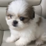 Marley Swanson - @marleyandme_________ - Instagram