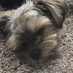 @marleyswanson_ - Instagram