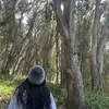marley - @marleytaylorn - TikTok