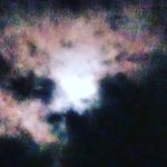 Marley Taylor - @marleytaylor2006 - Instagram