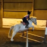 Marley Ward - @marleyhorselover - Instagram