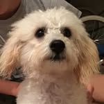 Marley Ward - @millionaire_marley334 - Instagram