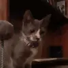 marleyward16 - @marleyward16 - TikTok