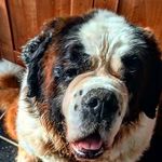 marley Webster - @marleywebster47 - Instagram