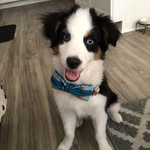 Marley White - @thereal_minimarley - Instagram