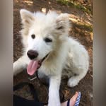 🌻Marleyyyyy🌻 - @marley_.white - Instagram