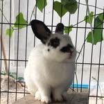 marli_crazy - @marli_whitepoo - Instagram