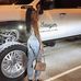 Sawyer Marie Webb - Facebook