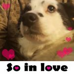 Marlin Bechtel - @marlin.bechtel - Instagram