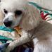 Maryin Brewer - Facebook