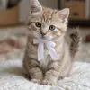 Marlin Chan - @marlin.chan27 - TikTok