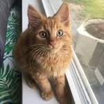 Marlin Collins - @kittycat_marlin - Instagram