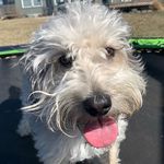 Marlin Cook - @marlin_214 - Instagram