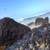 marli.cooke - @marli.cooke - TikTok