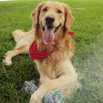 Chief Marlin Sternberg-Ellis - @goldenchiefmarlin - Instagram