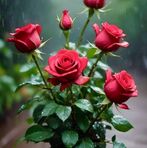 Marlin Gonzalez - Facebook