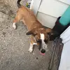 willie.messer92 - @marlin.hall - TikTok