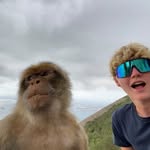 marlin - @marlinharriss - Instagram
