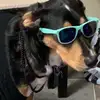 Marlin may - @user5028437486 - TikTok