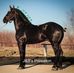 Marlin Wagler - Facebook