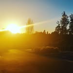 Marlin Willis - @deepoceanbaby04 - Instagram