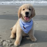 Marlin Wilson - @our_darlin_marlin - Instagram