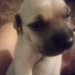 Marlo Evans - @ghostboymarlo25 - Instagram