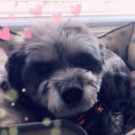 Marlo Thumper Johnson - @marlo.johnsonn - Instagram