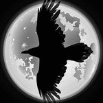 FLY & SEEK - @marlo__martin - Instagram