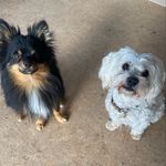 Nelson & Marlo - @nelson___marlo - Instagram