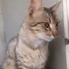 Marlo Ramirez - @marloramirez578 - TikTok