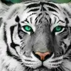 marloramirez611 - @marloramirez611 - TikTok