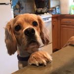 Marlo Smith 🐶 - @marlo__smith - Instagram