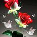 Mario Winter - Facebook