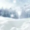 💙Marlowe❄️ - @marlowe.winter - TikTok