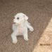 Marleen Boyer - Facebook